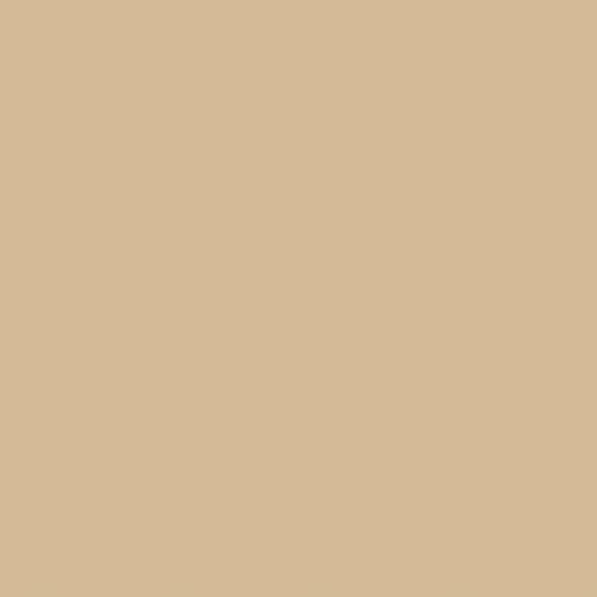 beige - 14-1118 TCX