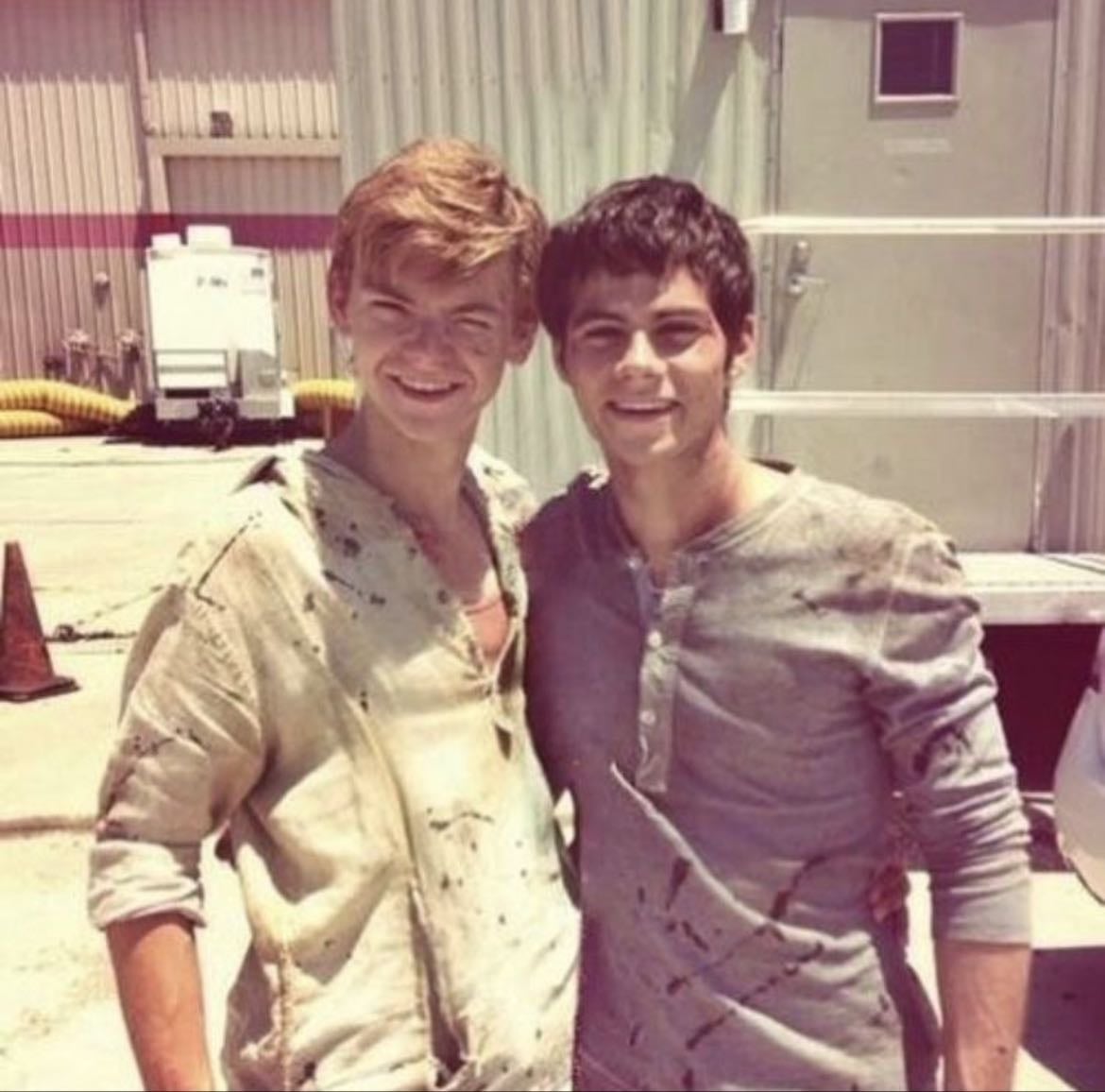 newtmas - the maze runner