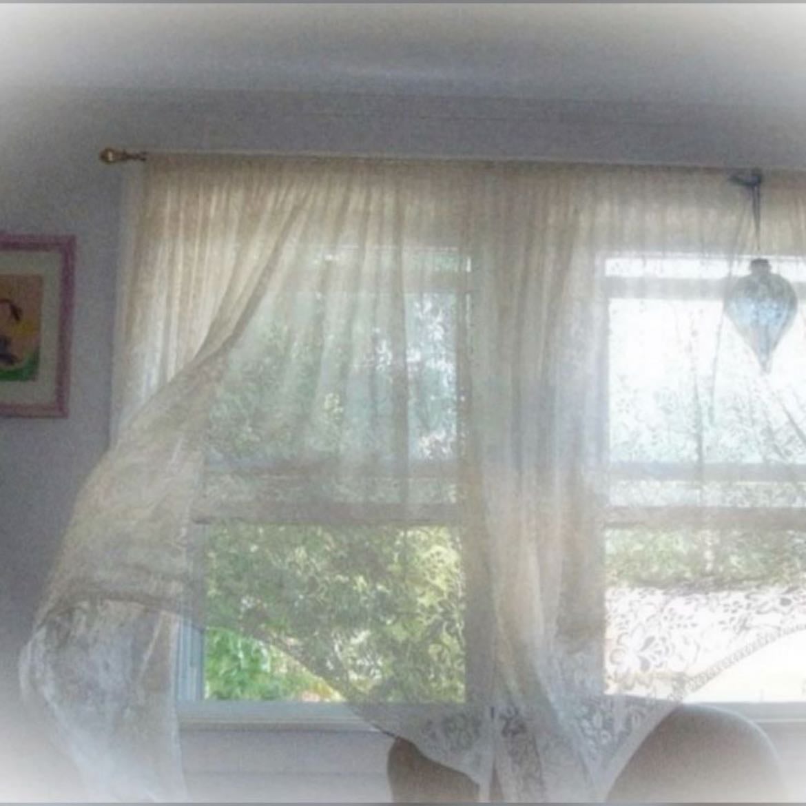 the virgin suicides