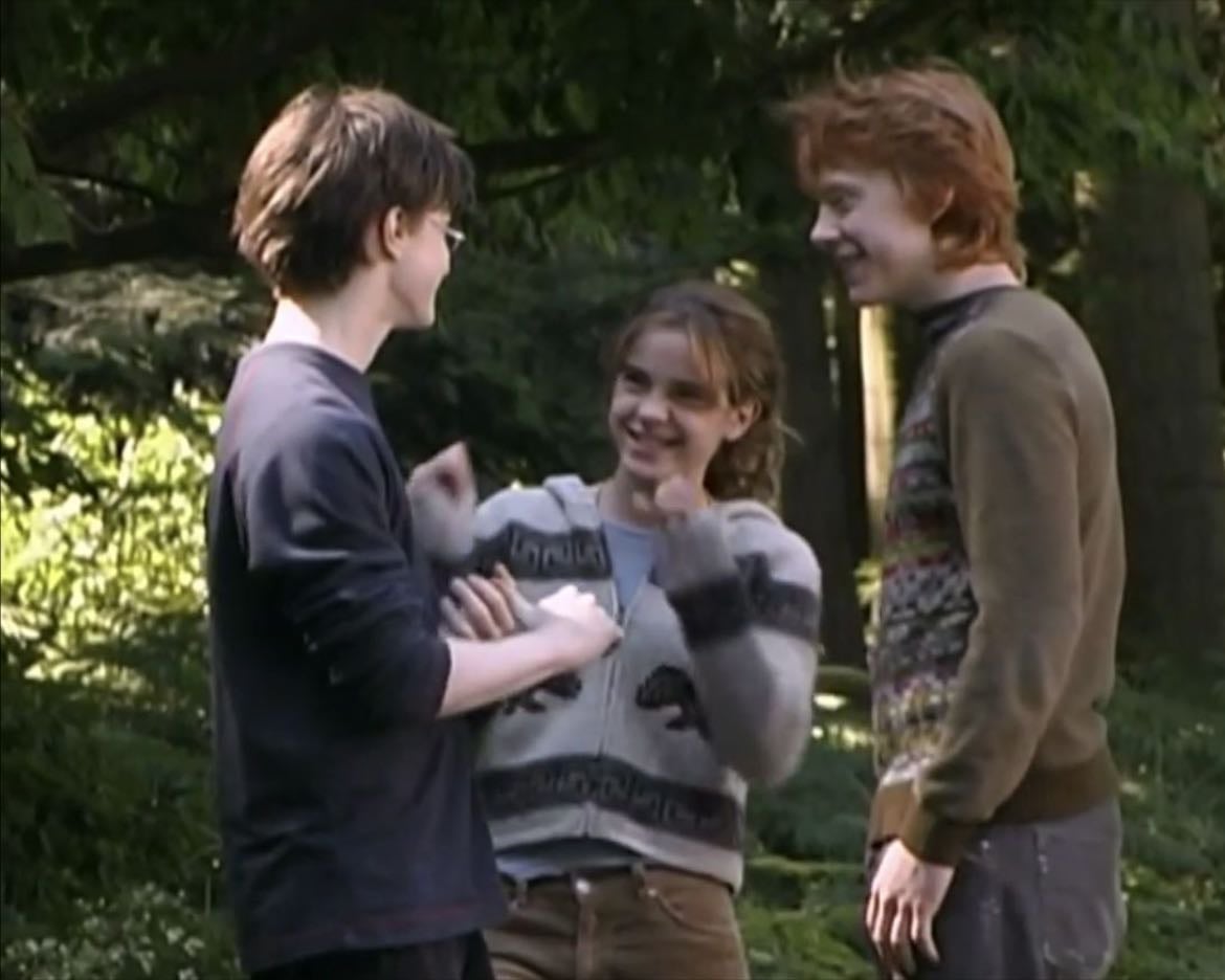 the golden trio - harry potter