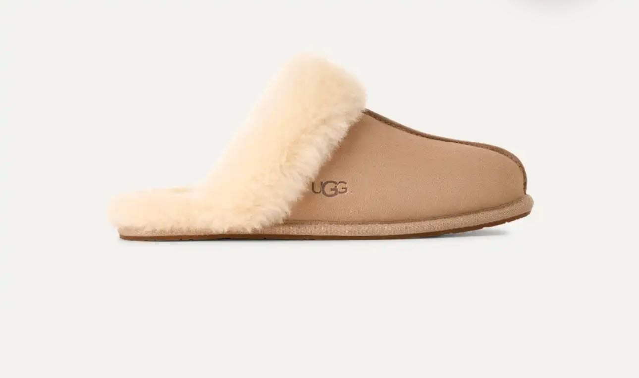 House or outdoor slippers