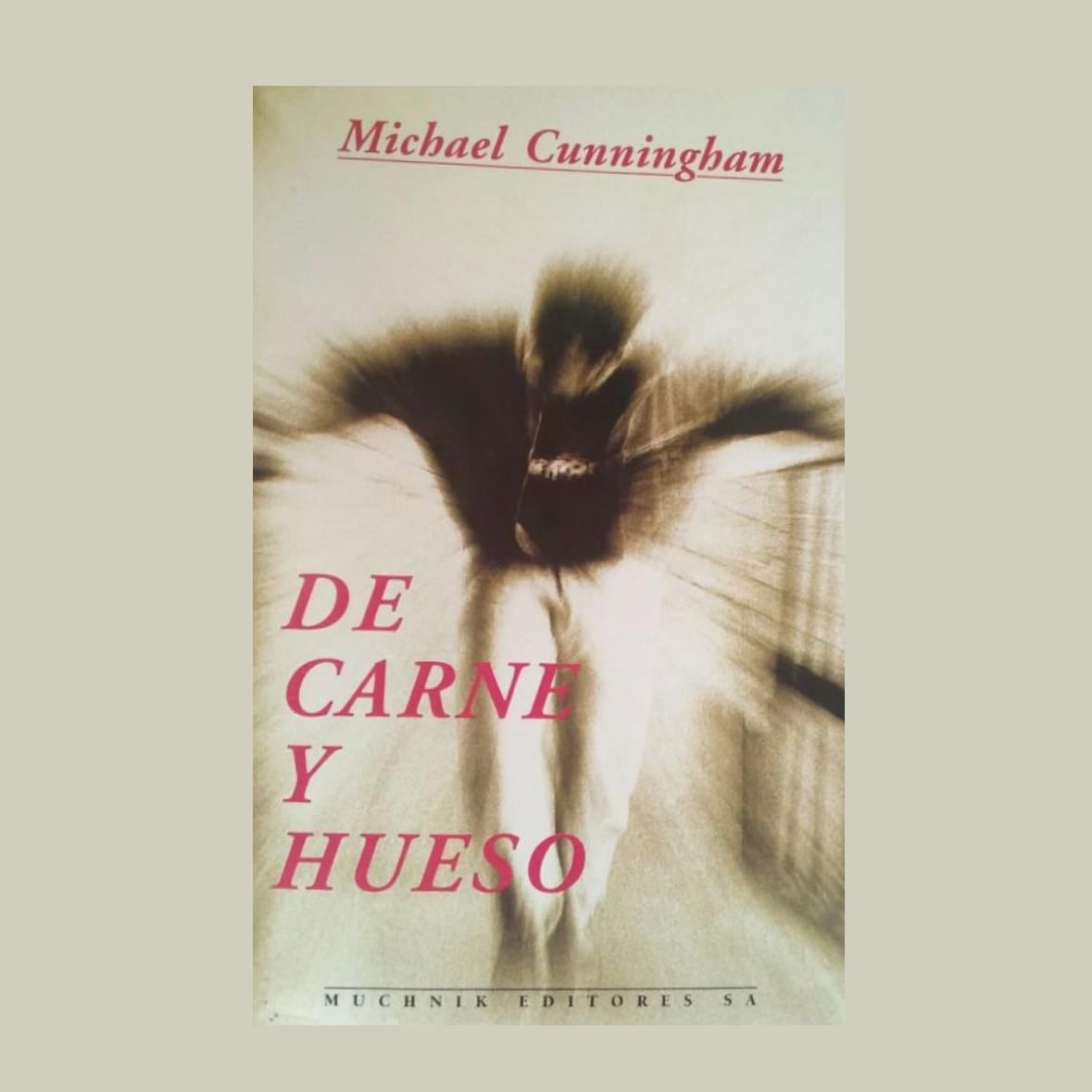 Carne y hueso - Michael Cunningham - 1996