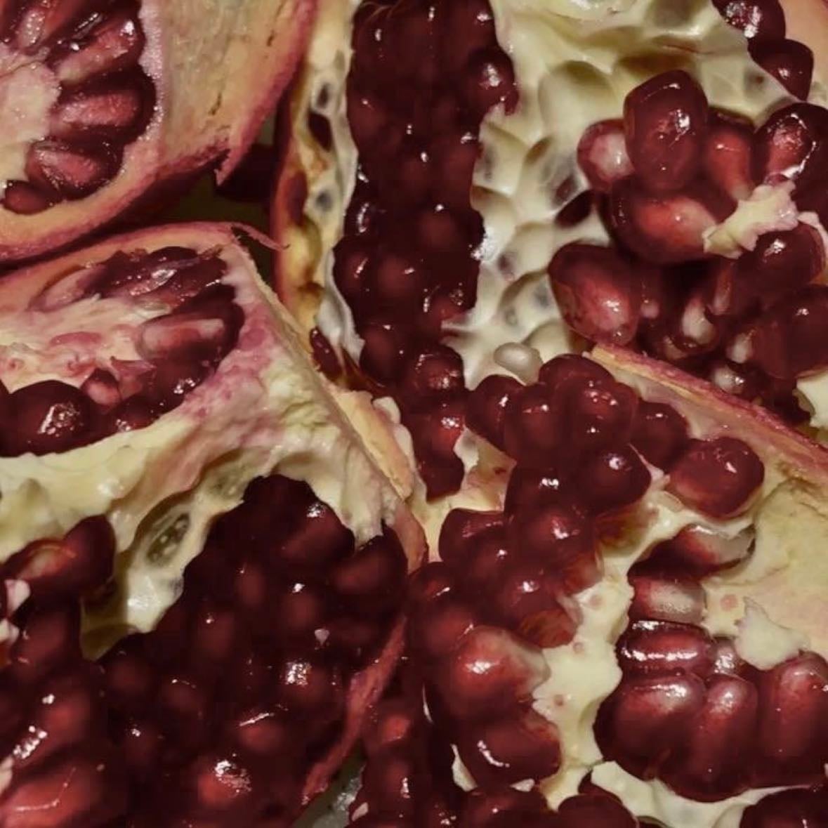 cannibalism as a way of seeing love