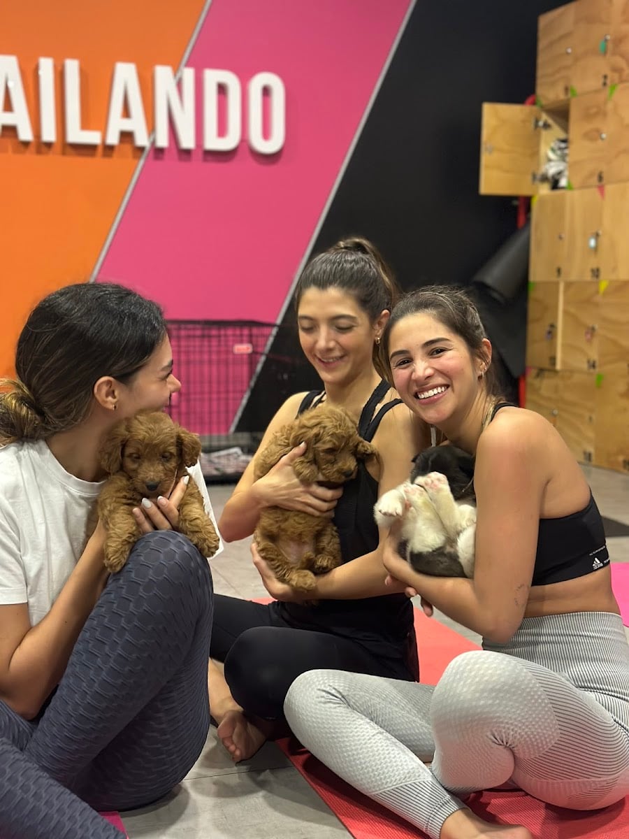 Puppy Yoga Col