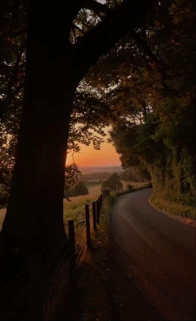 watch a sunset