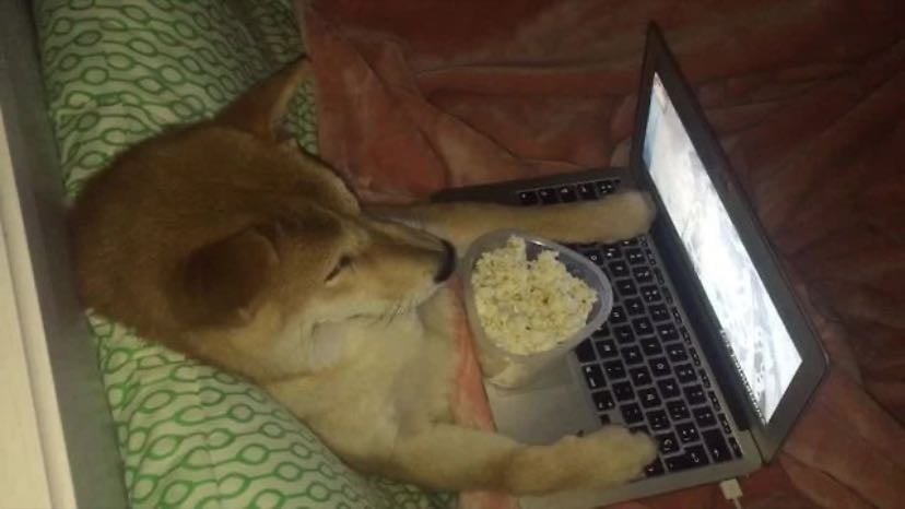 watch a movie / yt