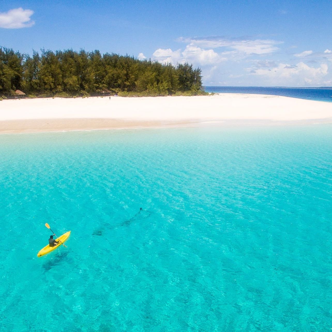 Mnemba Island