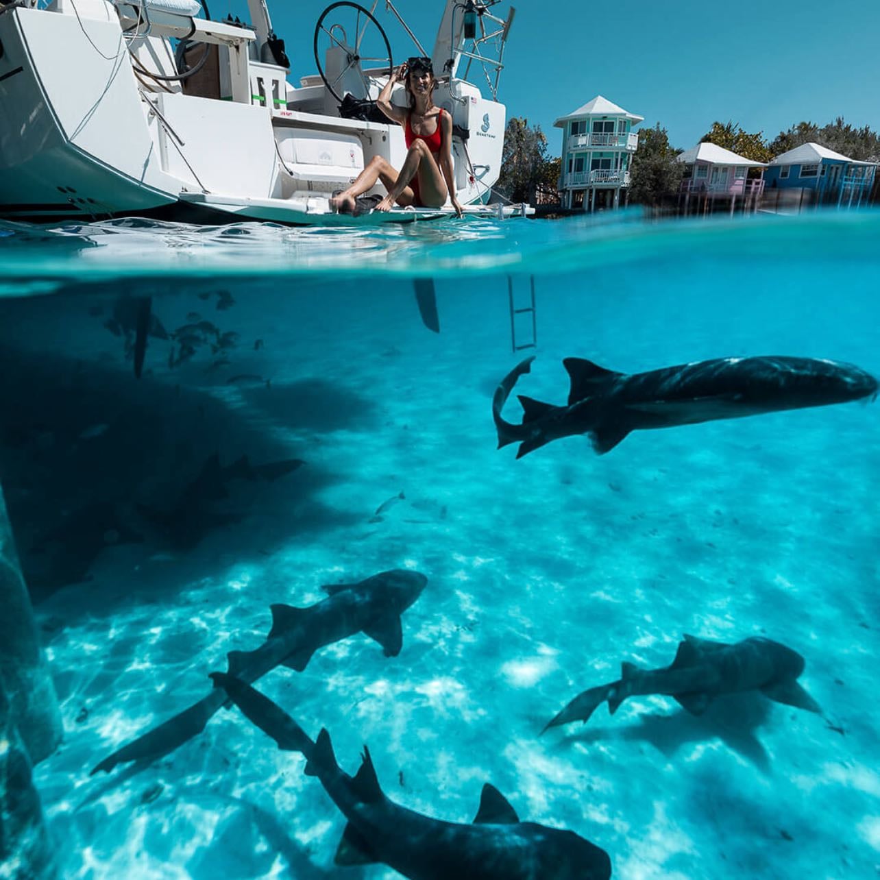 The Aquarium