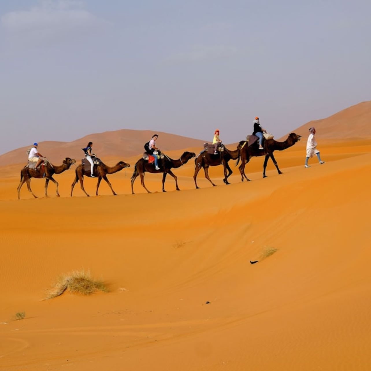 Merzouga
