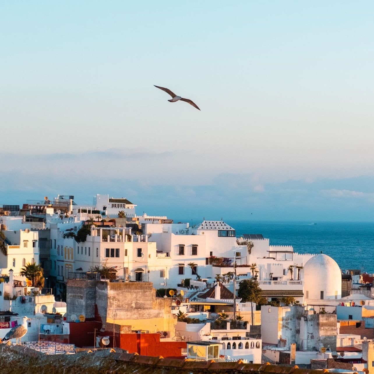 Tangier