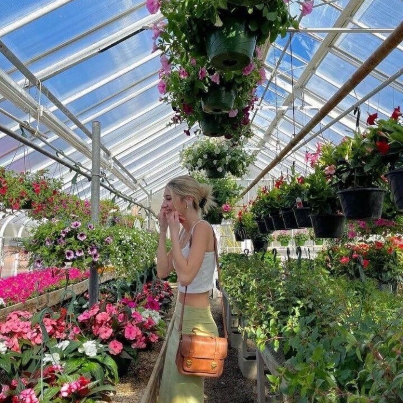 Ir a un invernadero - Comprar plantitas me hace muy feliz