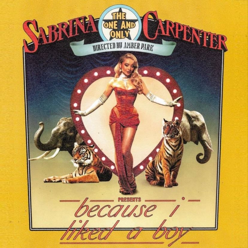 because i liked a boy - Song · Sabrina Carpenter
