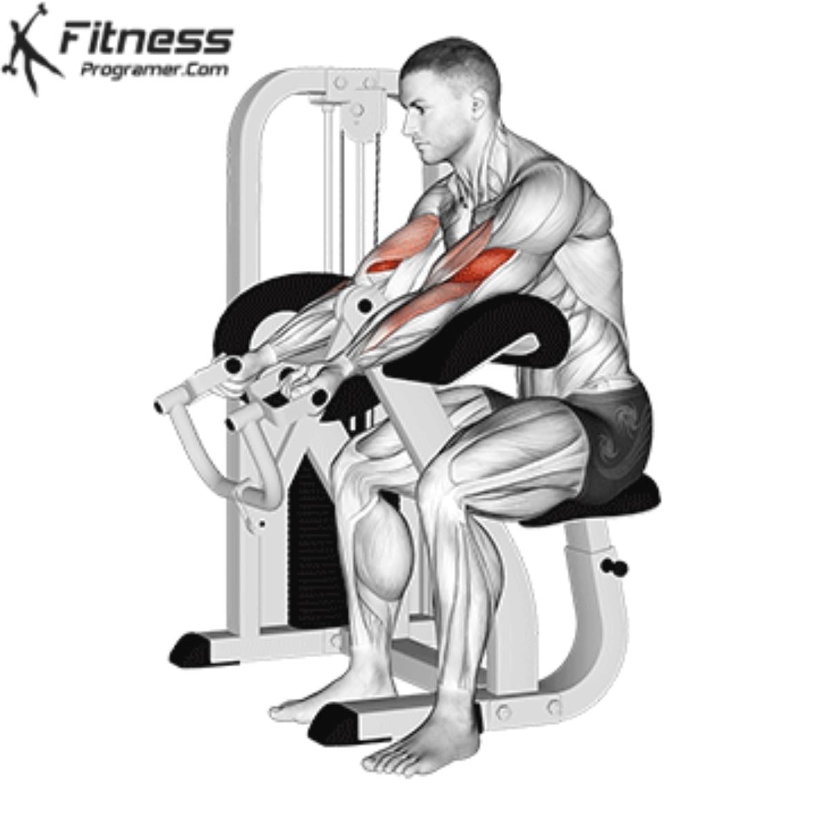 Preacher curl
