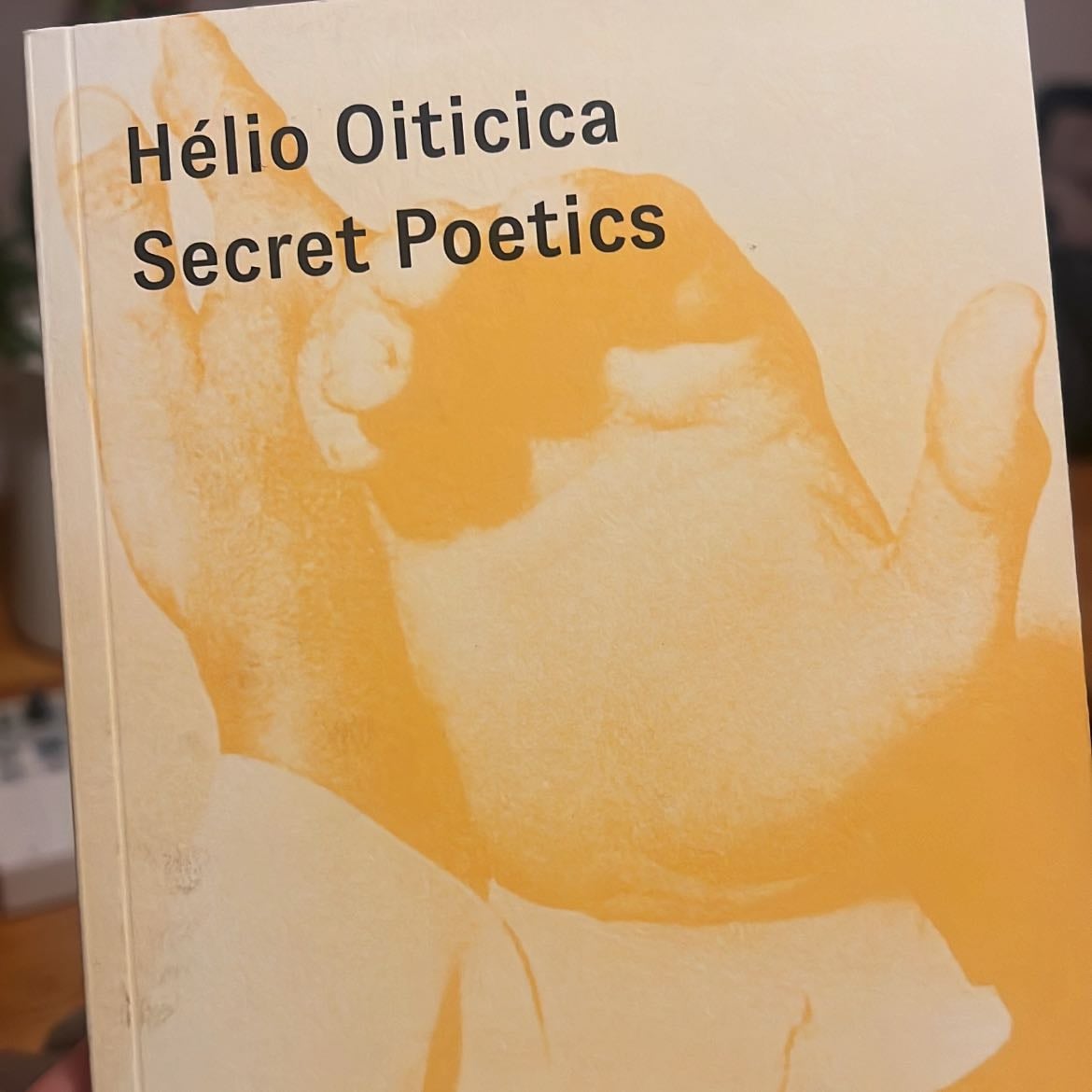 Secret Poetics - by Helio Oiticica