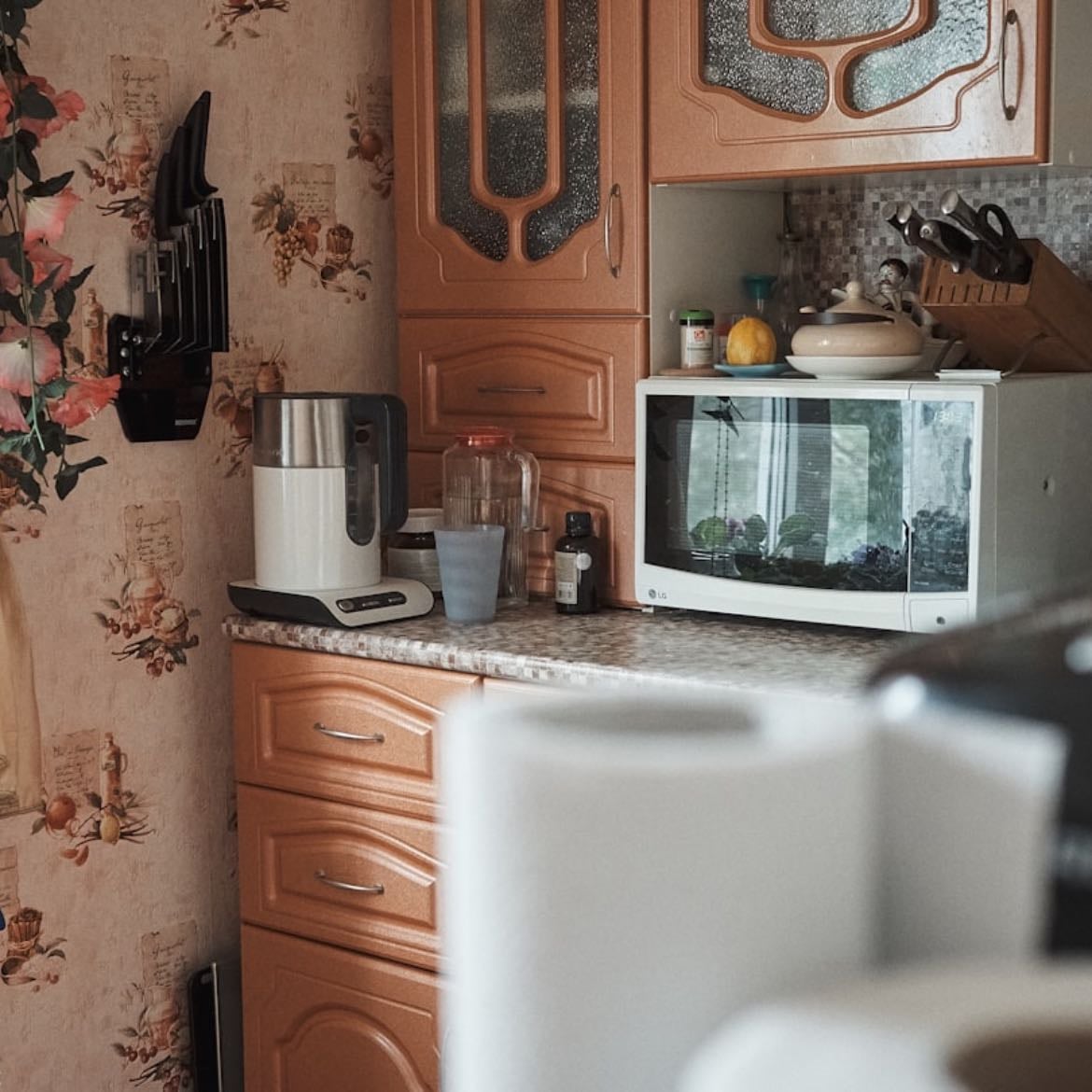 Your microwave has its own microbiome
