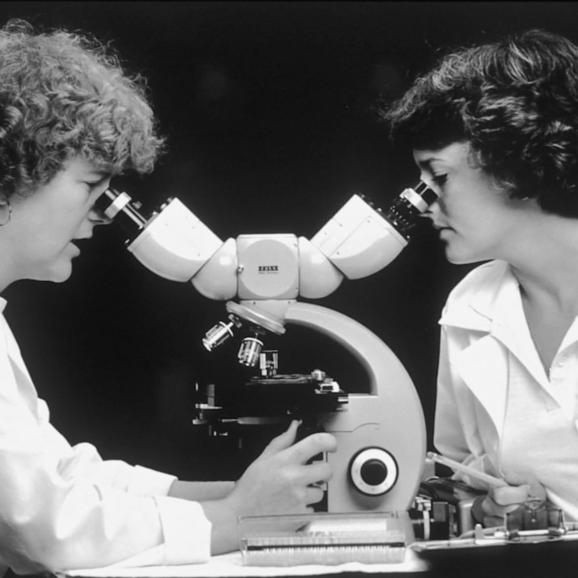 Breast cancer cells