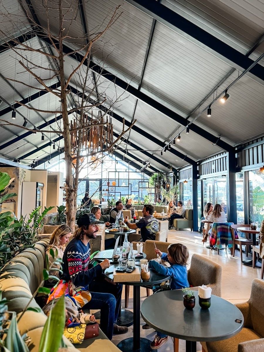 Selva Café & Libros