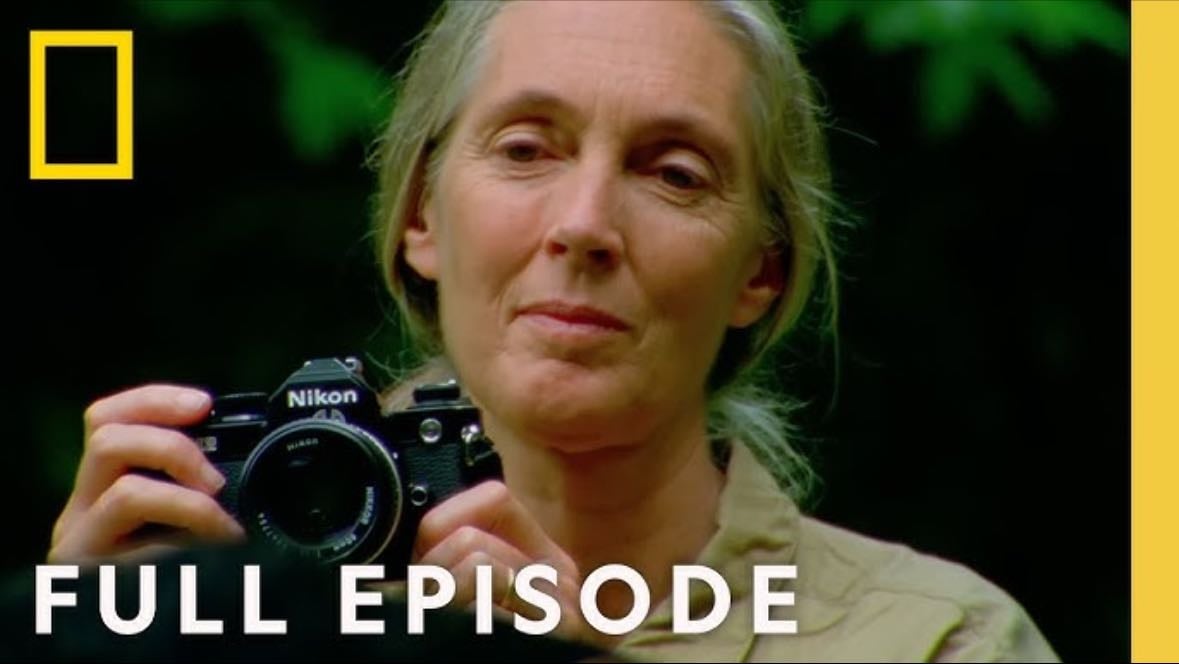 jane goodall an inside look