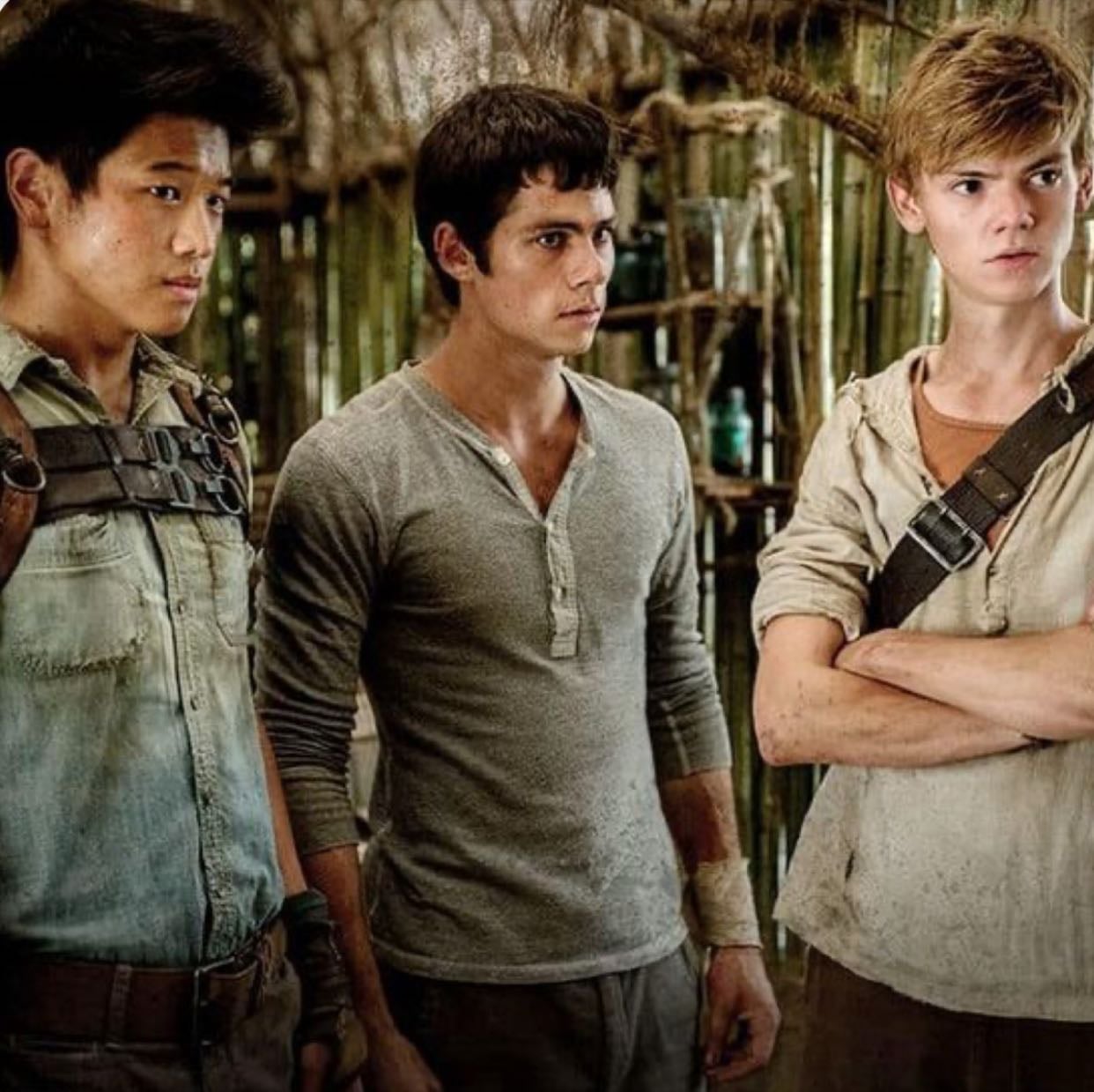 Newt, Thomas, Minho - The Maze Runner