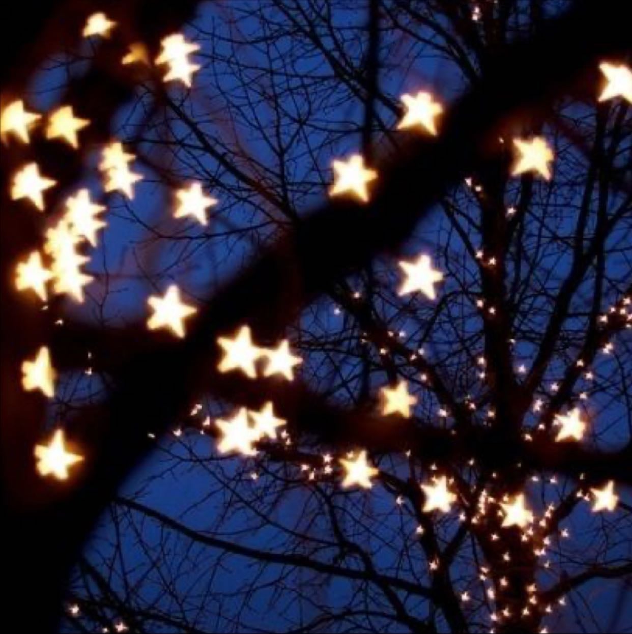 Stars