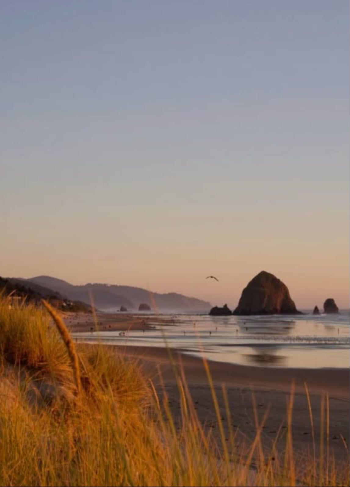Cannon Beach