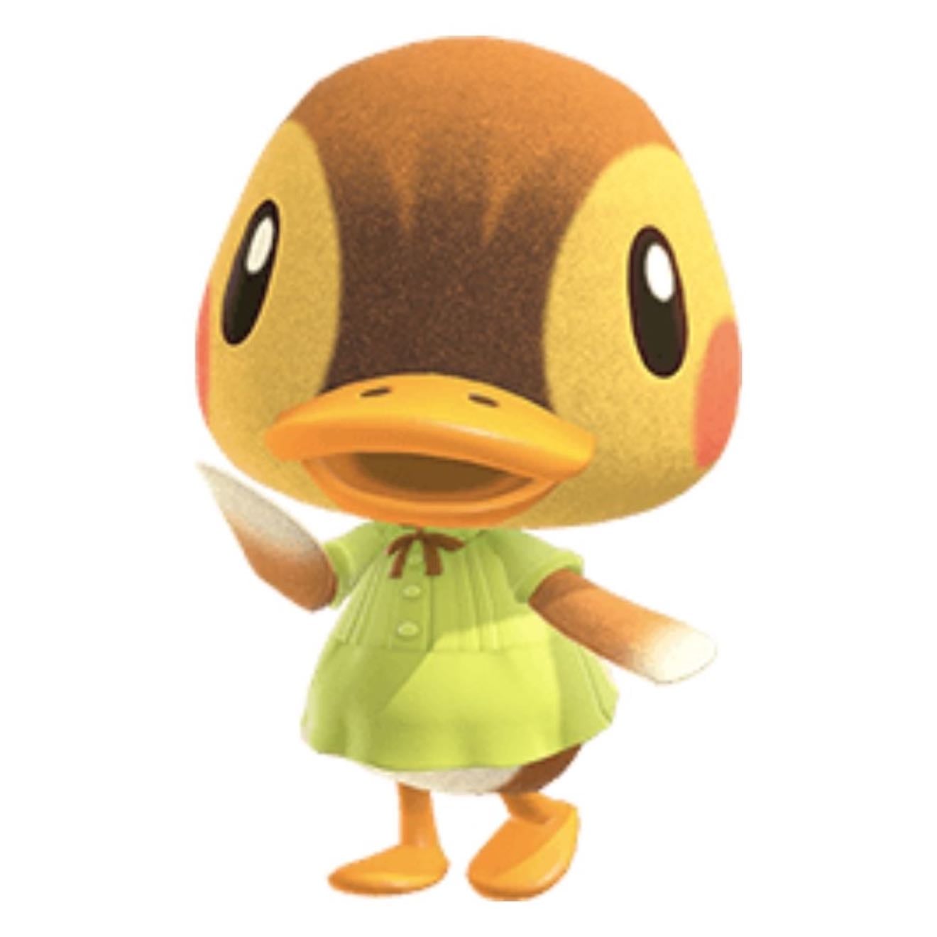 Molly - Duck