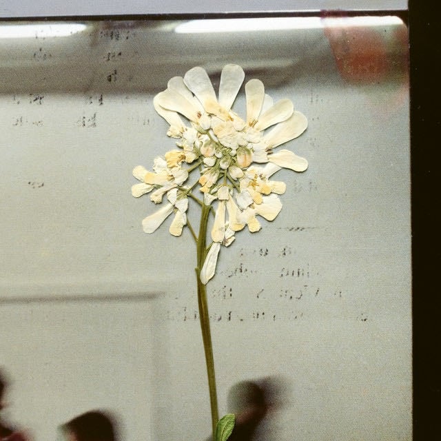 Stereo Mind Game - Album · Daughter
Favourite Song : Dandelion