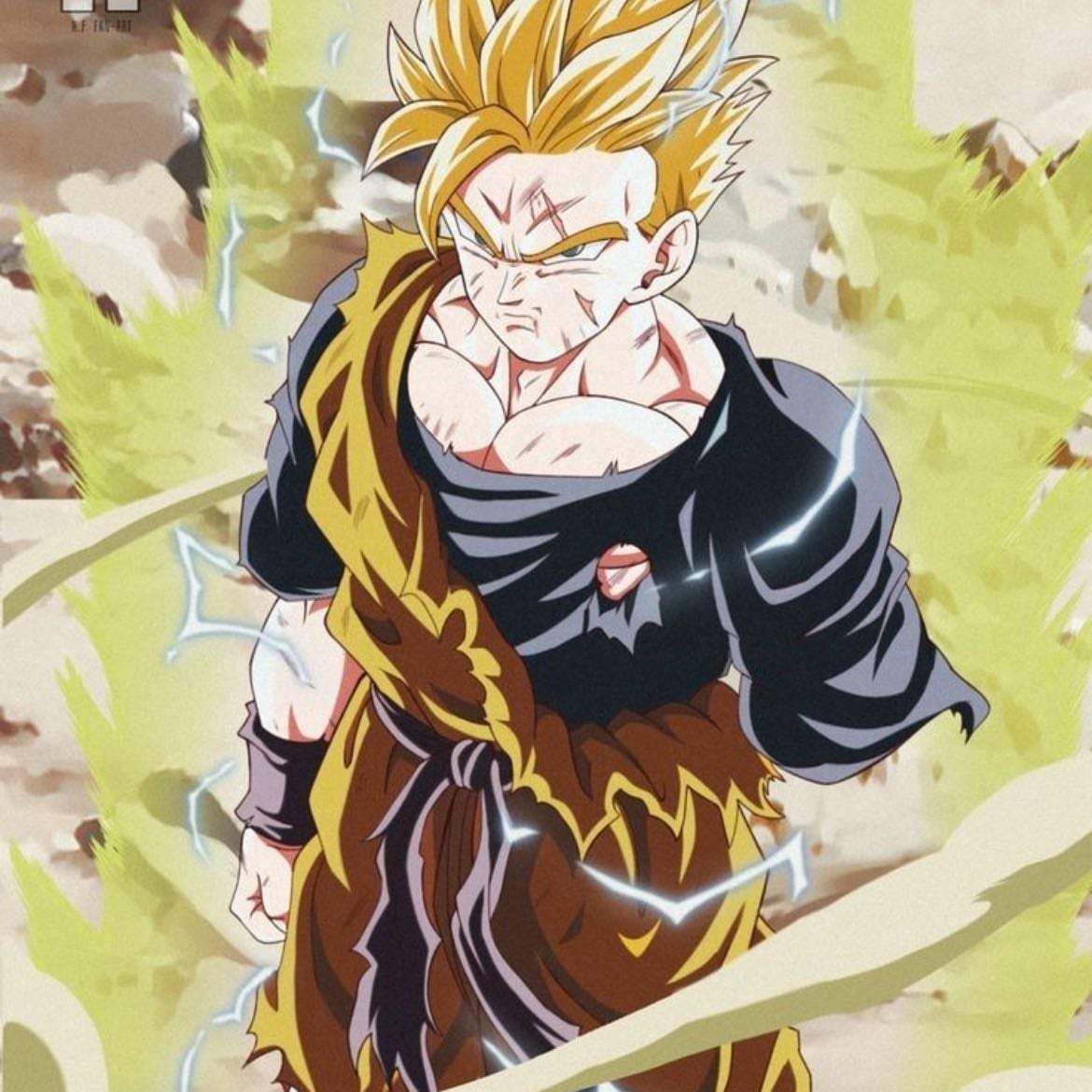 The future Gohan