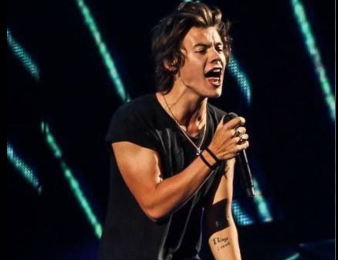 favss Harry Styles 💚