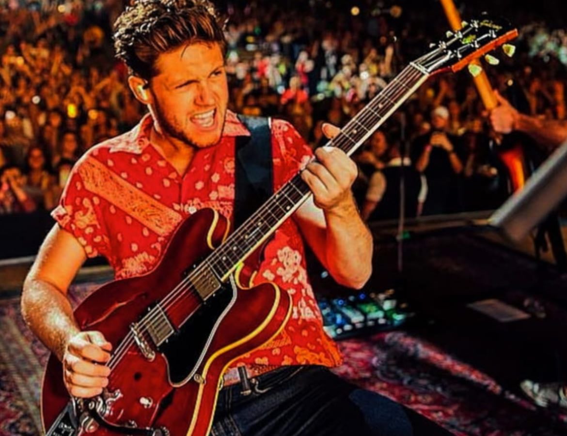 favss Niall Horan 馃А