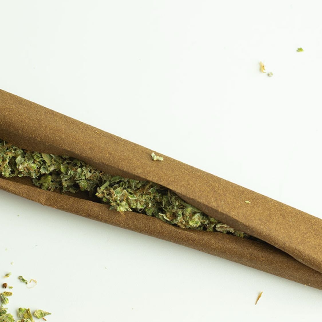 Weed 🌚 - Bruh, my Shayla