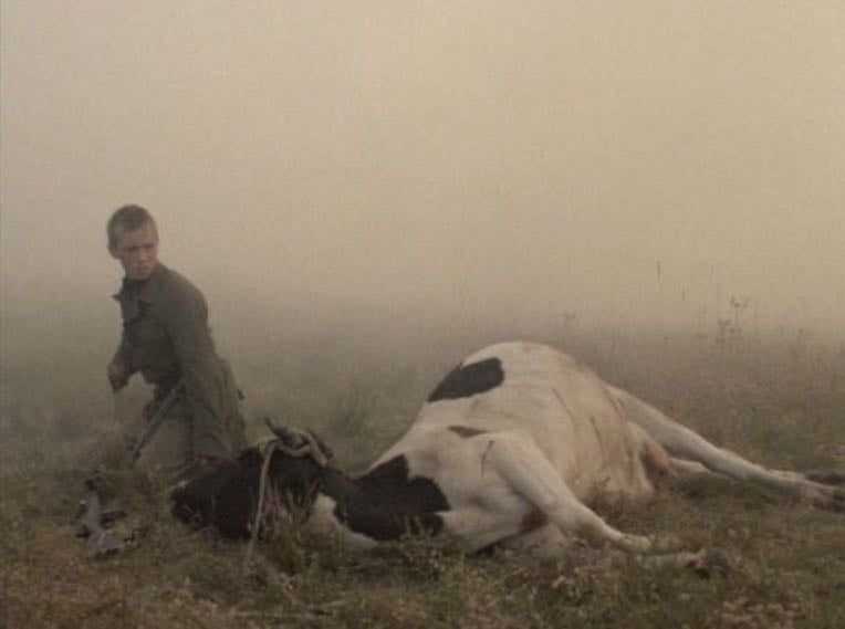 Come and See - Элем Климов · 1985