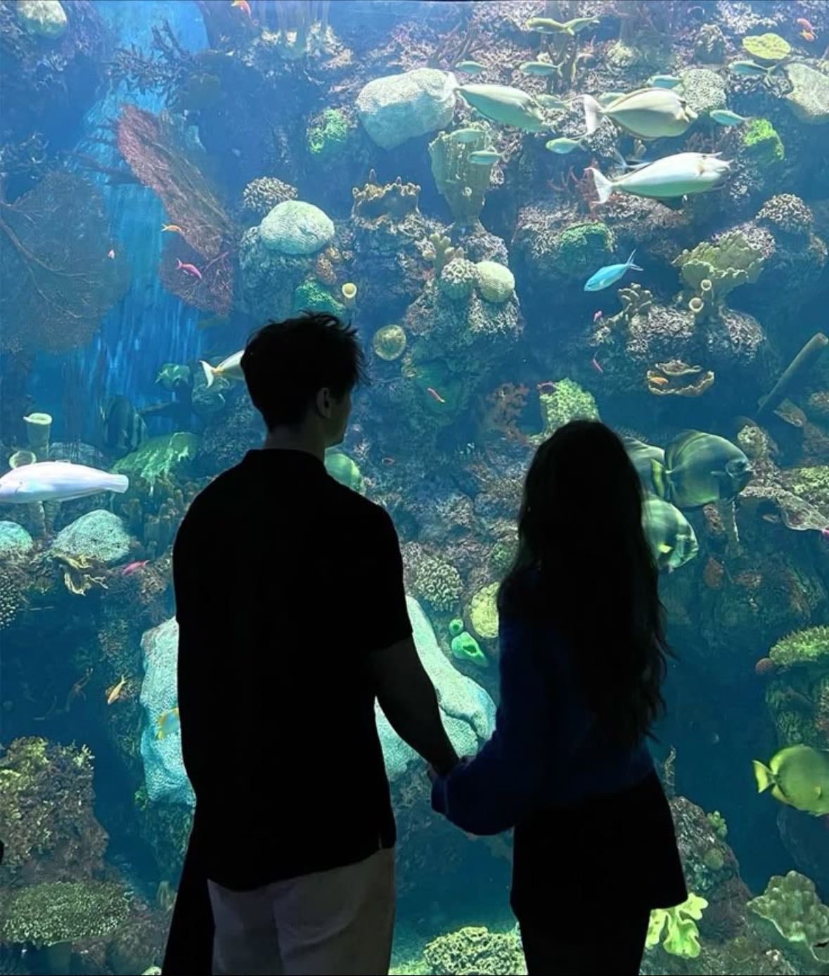 Aquarium