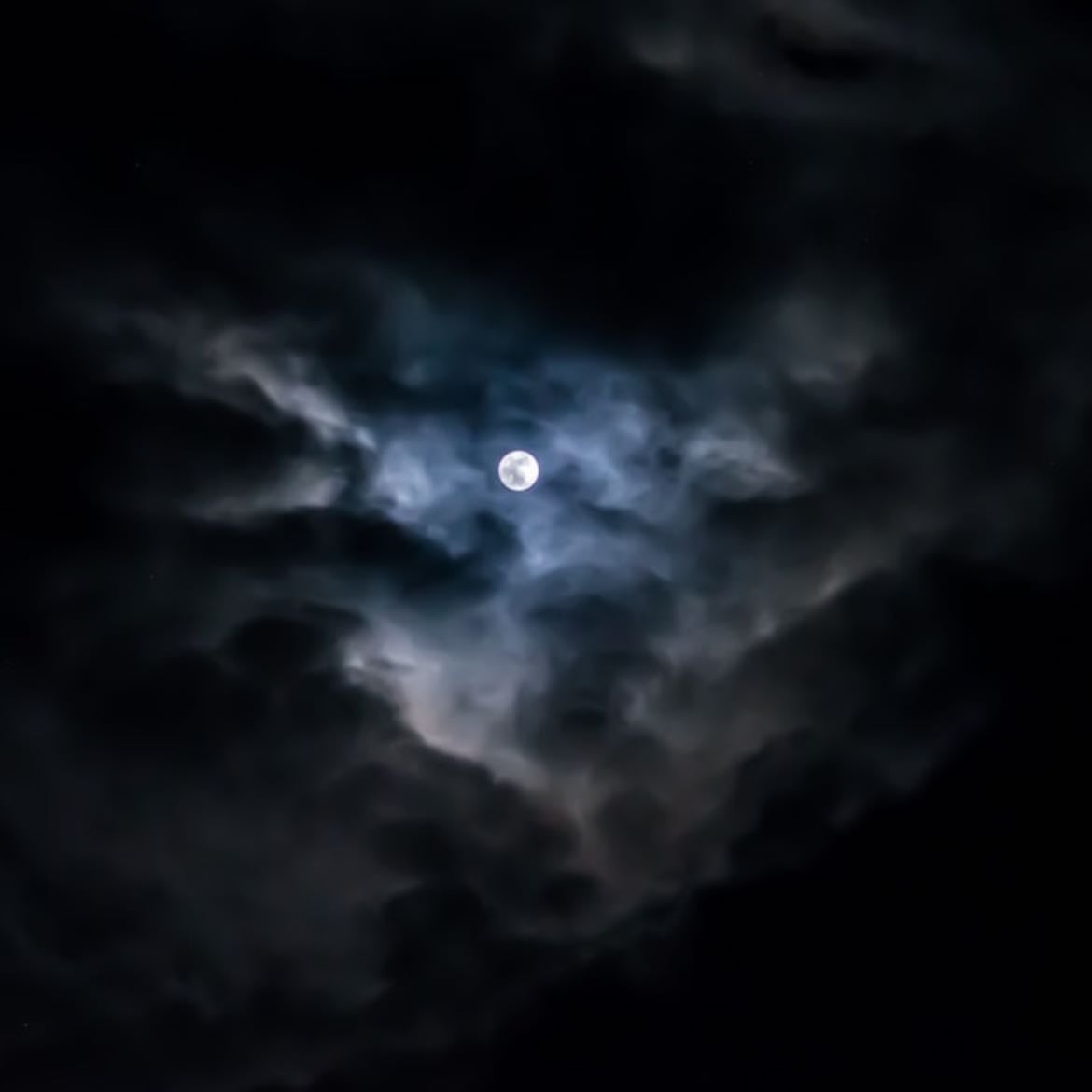 edgar allan poe - “I became insane, with long intervals of horrible sanity.”