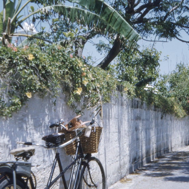 morning commute - Song · aqualina