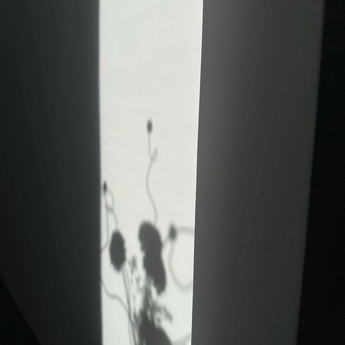os desenhos das sombras