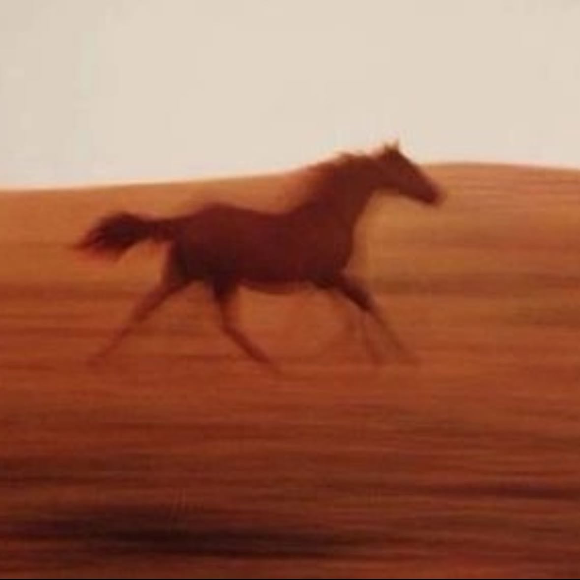 cavalo solto num campo