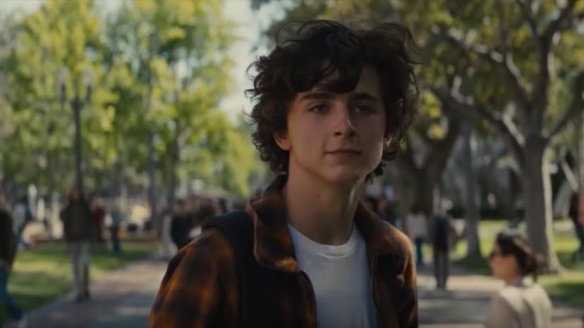 Beautiful Boy - Felix van Groeningen · 2018