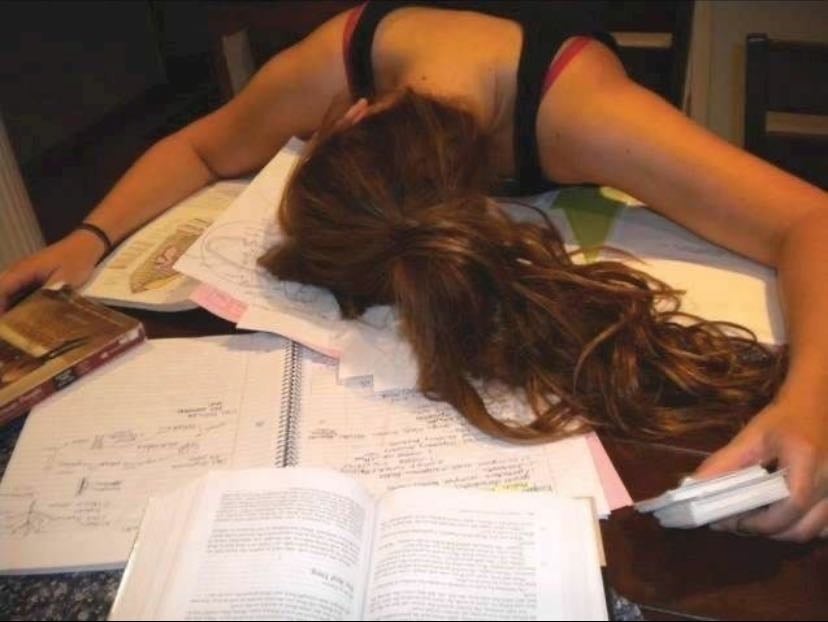 studying