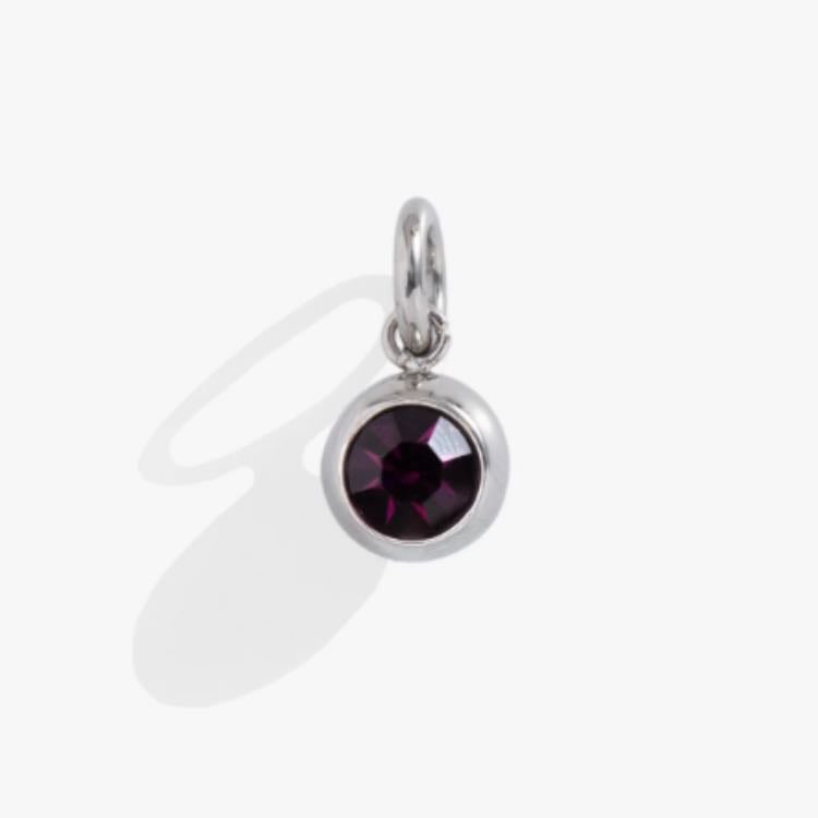 February Birthstone Interchangeable Charm - Alex and Ani $16