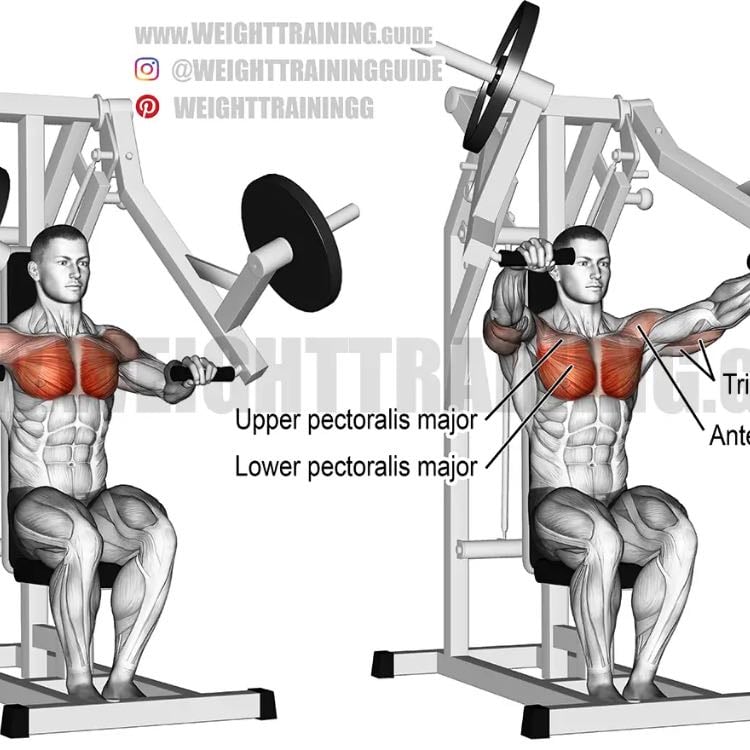 chest press machine