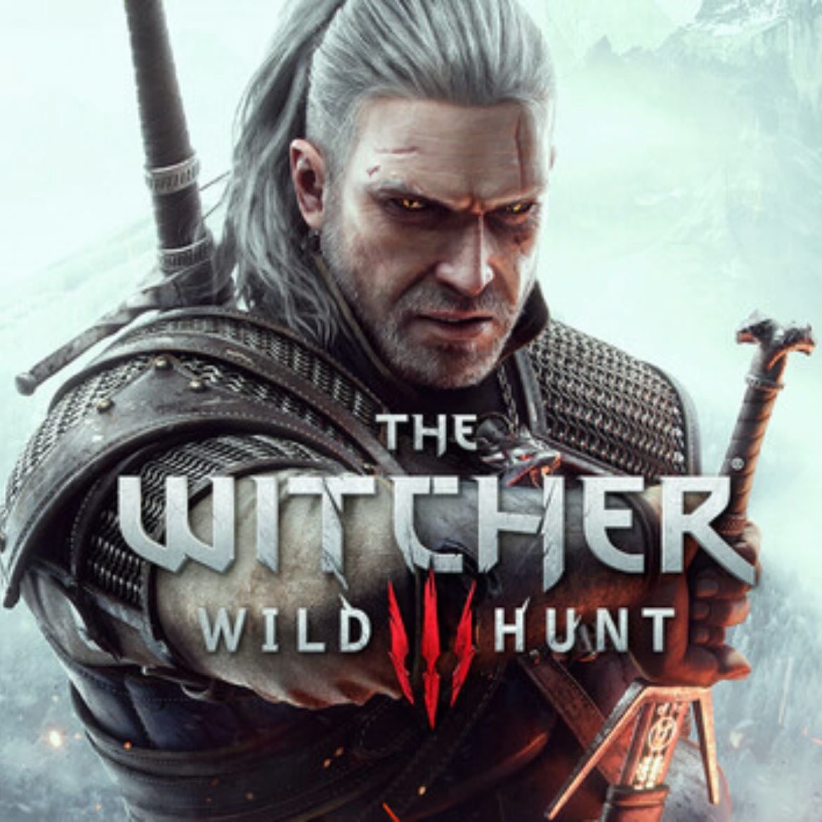 The Witcher