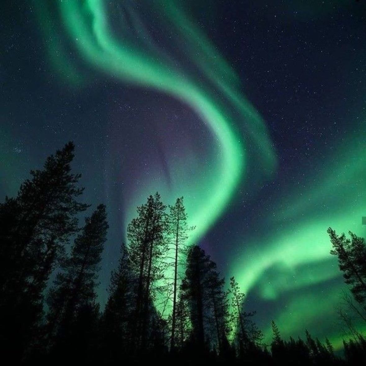 see the aurora borealis