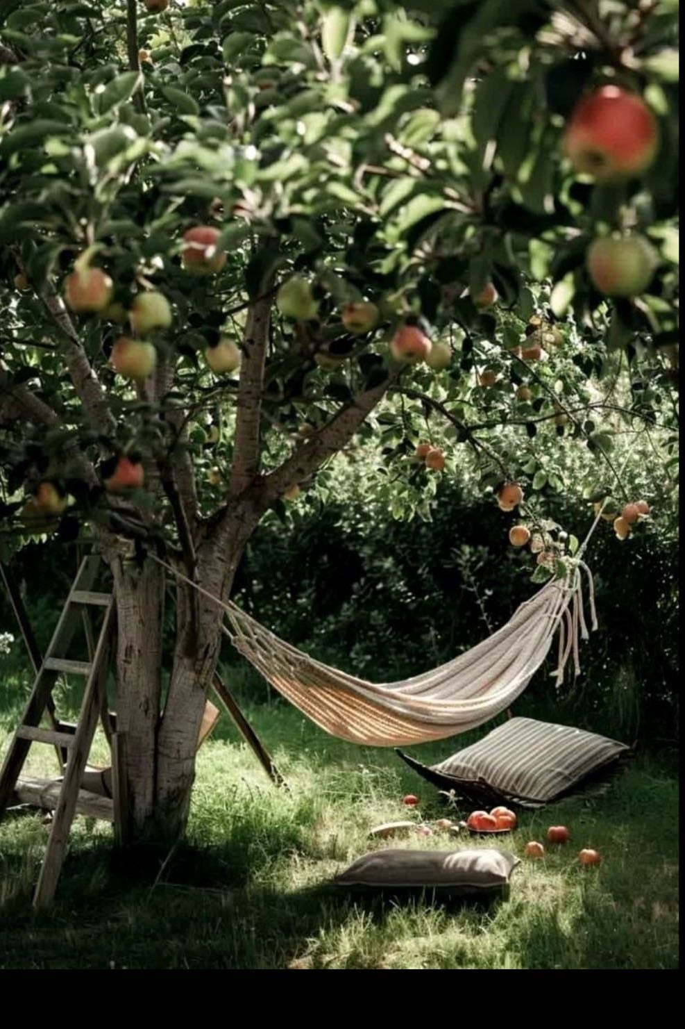 nap in a hammock