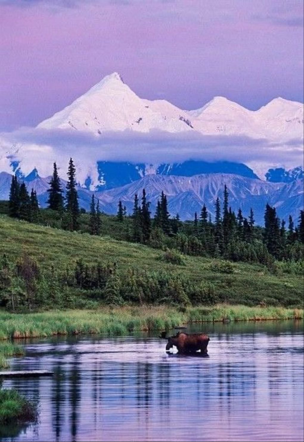 Alaska