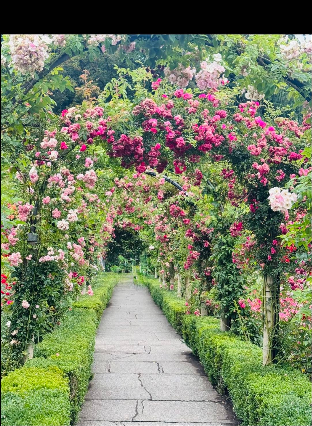 visit a botanical garden