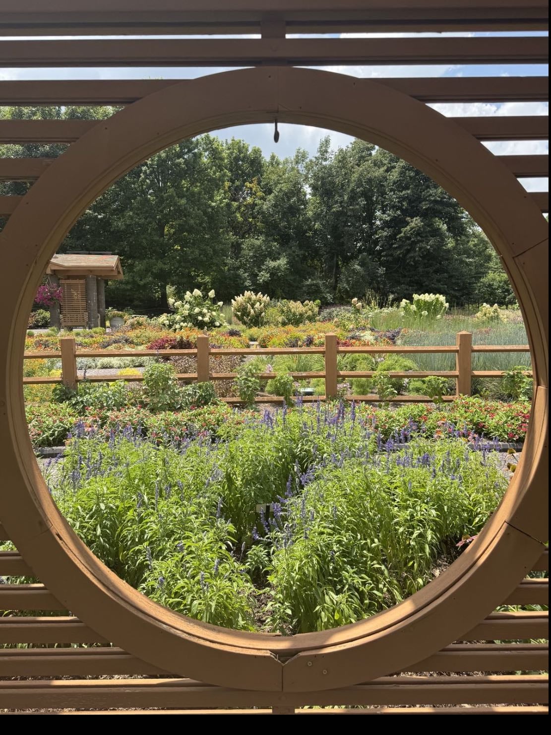 visit a botanical garden