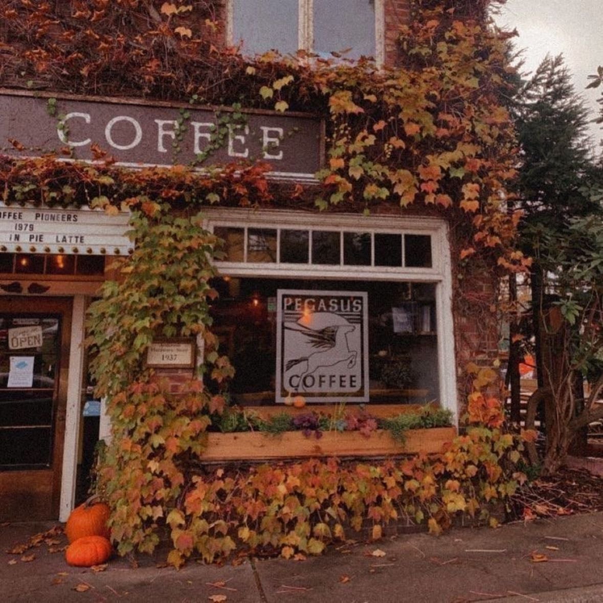 visit a cozy coffee shop