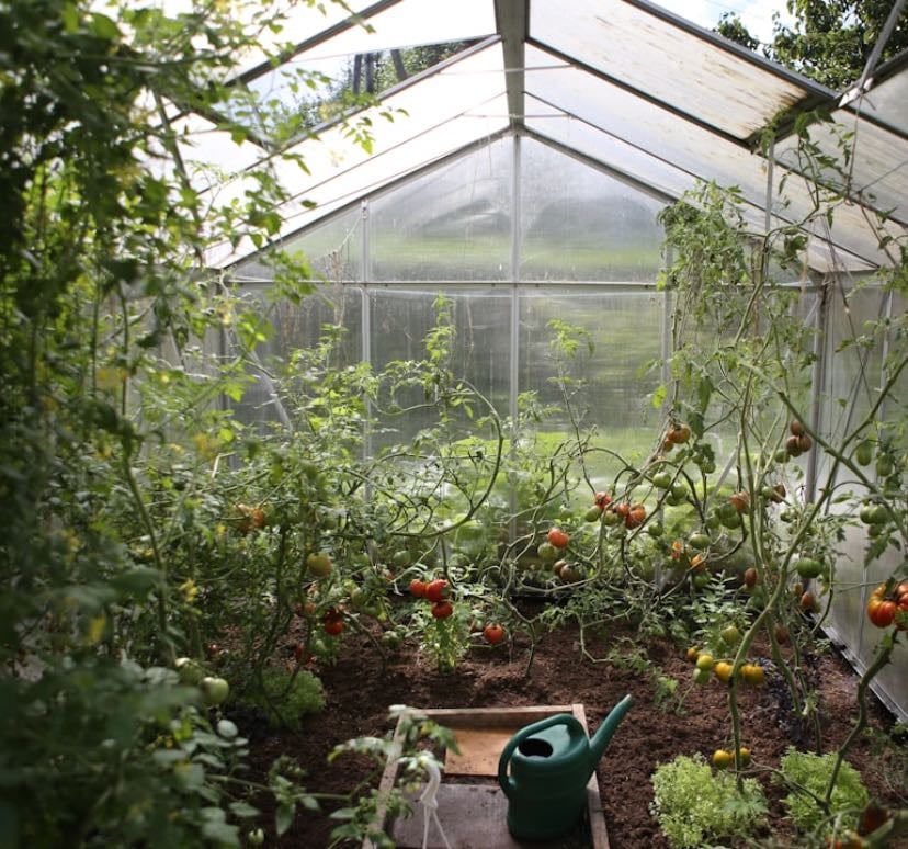 Dream Garden