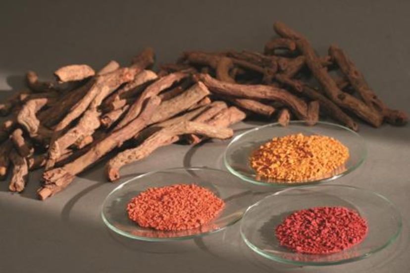 Matter root